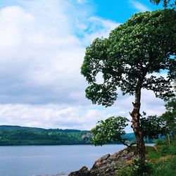 Scenic view of river against cloudy sky