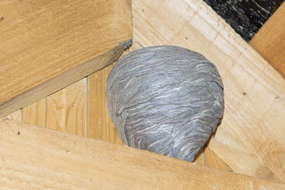 High angle view of bread on cutting board