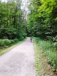 Rear view of people walking on road in forest