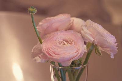 Close-up of rose bouquet