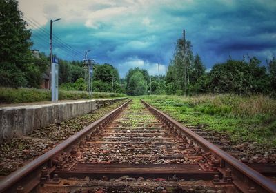 Surface level of railroad tracks in forest