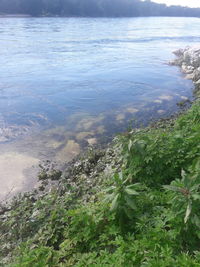 High angle view of sea shore