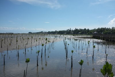 Scenic view of calm lake against sky