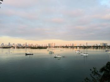 Sailboats in city at sunset