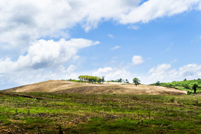 Scenic view of field against sky