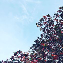 Low angle view of tree against sky