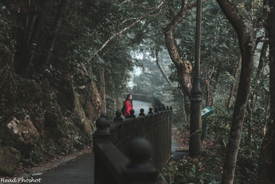 People on road amidst trees in forest