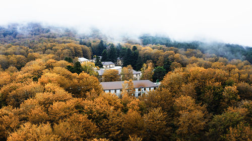 House surrounded by trees with autumn colors