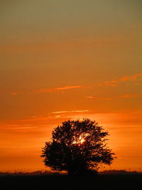 Silhouette tree on field against romantic sky at sunset