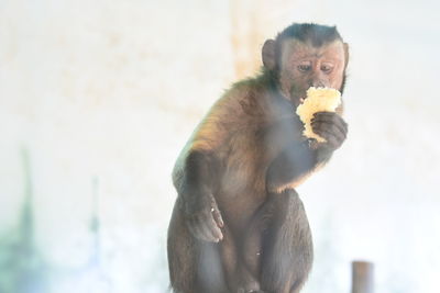 Young man eating food