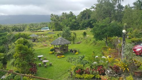 Scenic view of trees and plants against sky