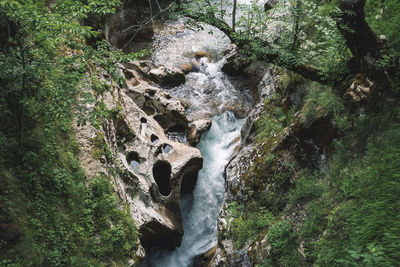 Scenic view of waterfall in forest