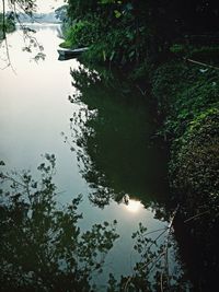 Reflection of trees in water