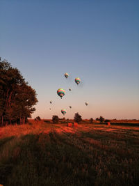 Hot air balloons on field against clear sky