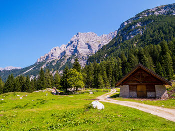 Scenic view of trees and mountains against sky