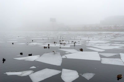 People on frozen river in city against sky