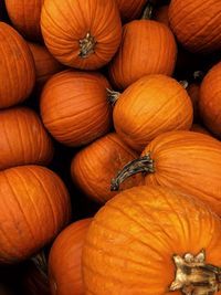 Full frame shot of pumpkins for sale at market