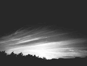 Low angle view of trees against sky