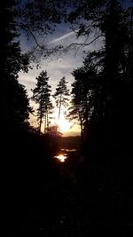 Silhouette trees in forest against sky during sunset