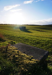 Scenic view of grassy field against sky
