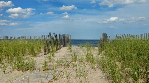 Scenic view of beach against sky