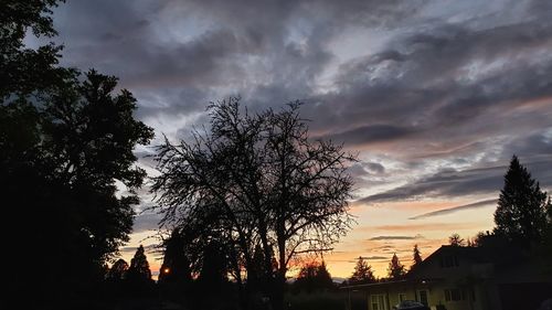 Low angle view of silhouette trees and buildings against sky