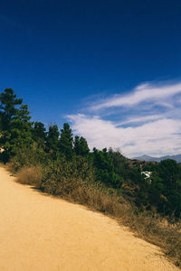 Trees on field against blue sky