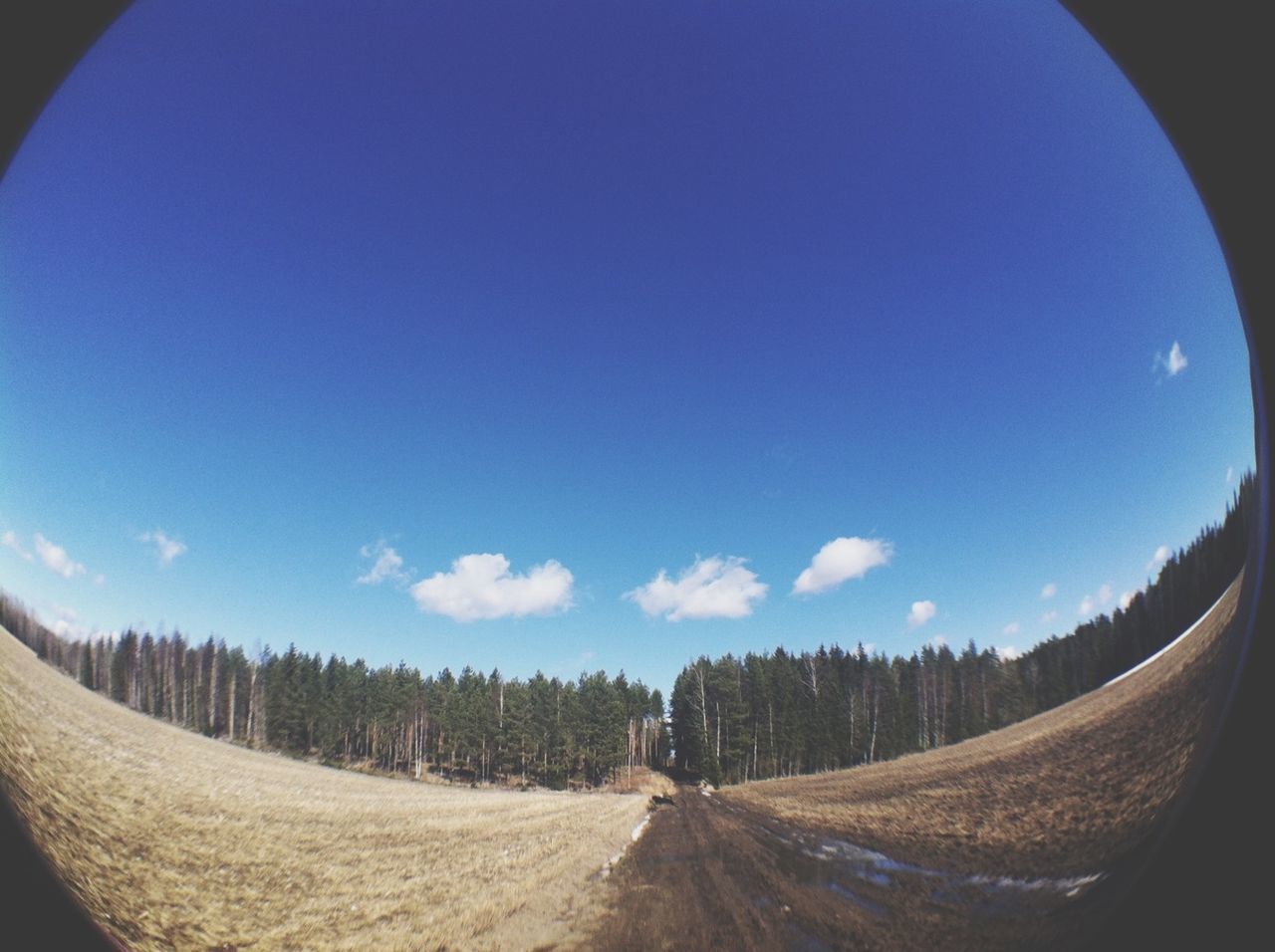 sky, landscape, blue, transportation, tranquility, tranquil scene, nature, the way forward, scenics, sunlight, field, rural scene, beauty in nature, cloud, road, cloud - sky, remote, fish-eye lens, day, non-urban scene