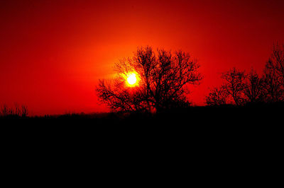 Silhouette trees on landscape against romantic sky at sunset