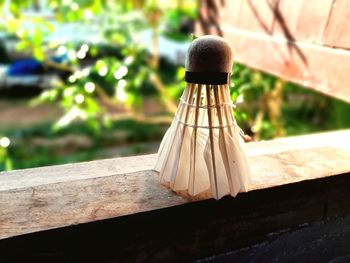 Rear view of woman with umbrella