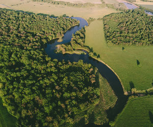 Scenic view of agricultural landscape