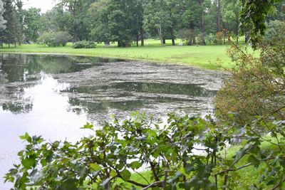 Scenic view of lake by trees