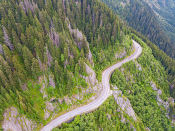 High angle view of winding road amidst trees in forest