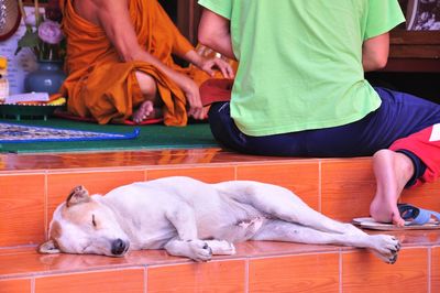 Low section of people with dog relaxing on floor
