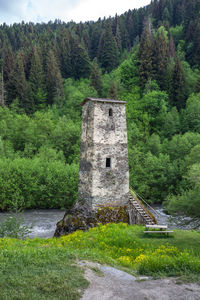 Old building by trees in forest