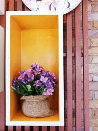 Close-up of potted plants in basket