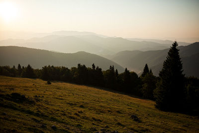 Scenic view of field against sky during sunset