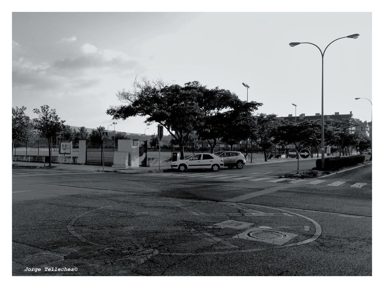 transfer print, tree, auto post production filter, sky, street light, transportation, road, street, car, palm tree, outdoors, incidental people, tranquility, empty, nature, cloud - sky, no people, day, tranquil scene, land vehicle