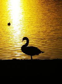 Silhouette bird on lake against sky during sunset