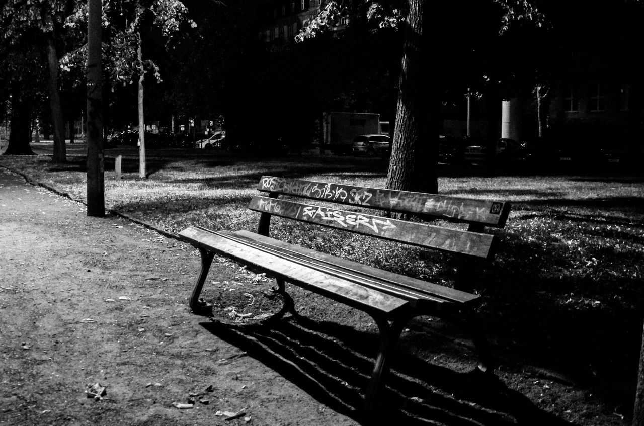 EMPTY BENCH IN PARK DURING AUTUMN AGAINST TREES