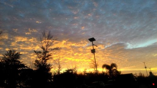 Silhouette of trees at sunset