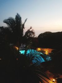 Silhouette palm trees against clear sky at night