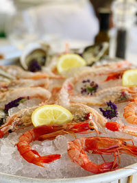 Close-up of seafood in plate