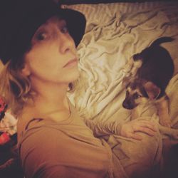 Portrait of dog lying down on bed