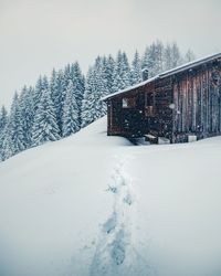 Snow covered land and trees against sky during winter