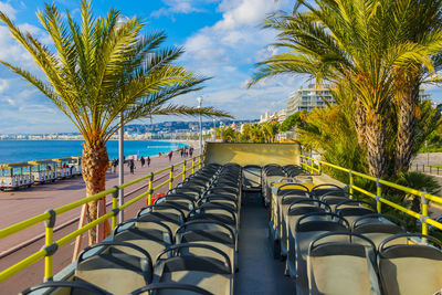 Empty seats of bus amidst palm trees