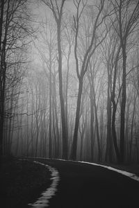 Road amidst bare trees in forest during winter