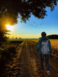 Rear view of man standing on field against sky during sunset