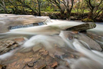 Long exposure of the river heddon flowing through the woods at heddons mouh in exmoor