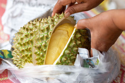 Cropped hand of woman holding food